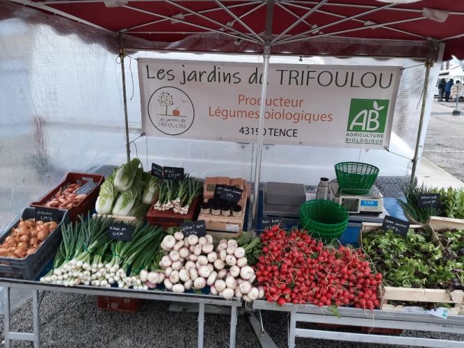 lesjardinsdutrifoulou.com